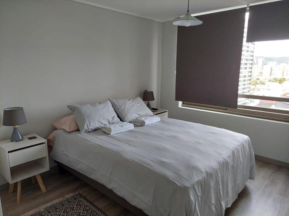 Departamento Ejecutivo Apartamento Concepción